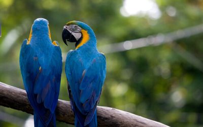 Filosofía de la alienación: la aberración del aprendizaje memorístico